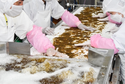 もずくは栄養成分が豊富な健康食品